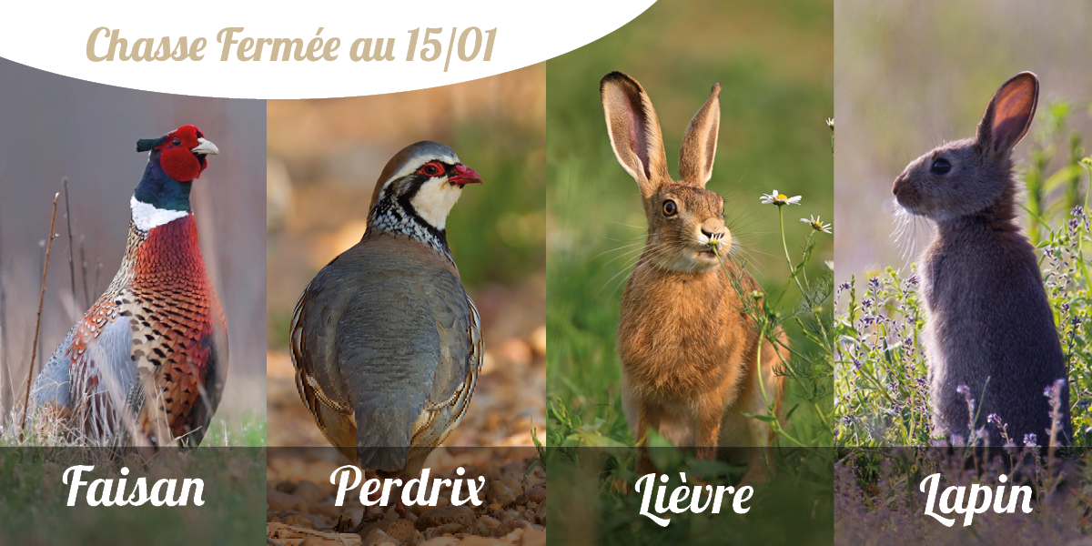 Fermeture 16 01 2022 1200 600 web