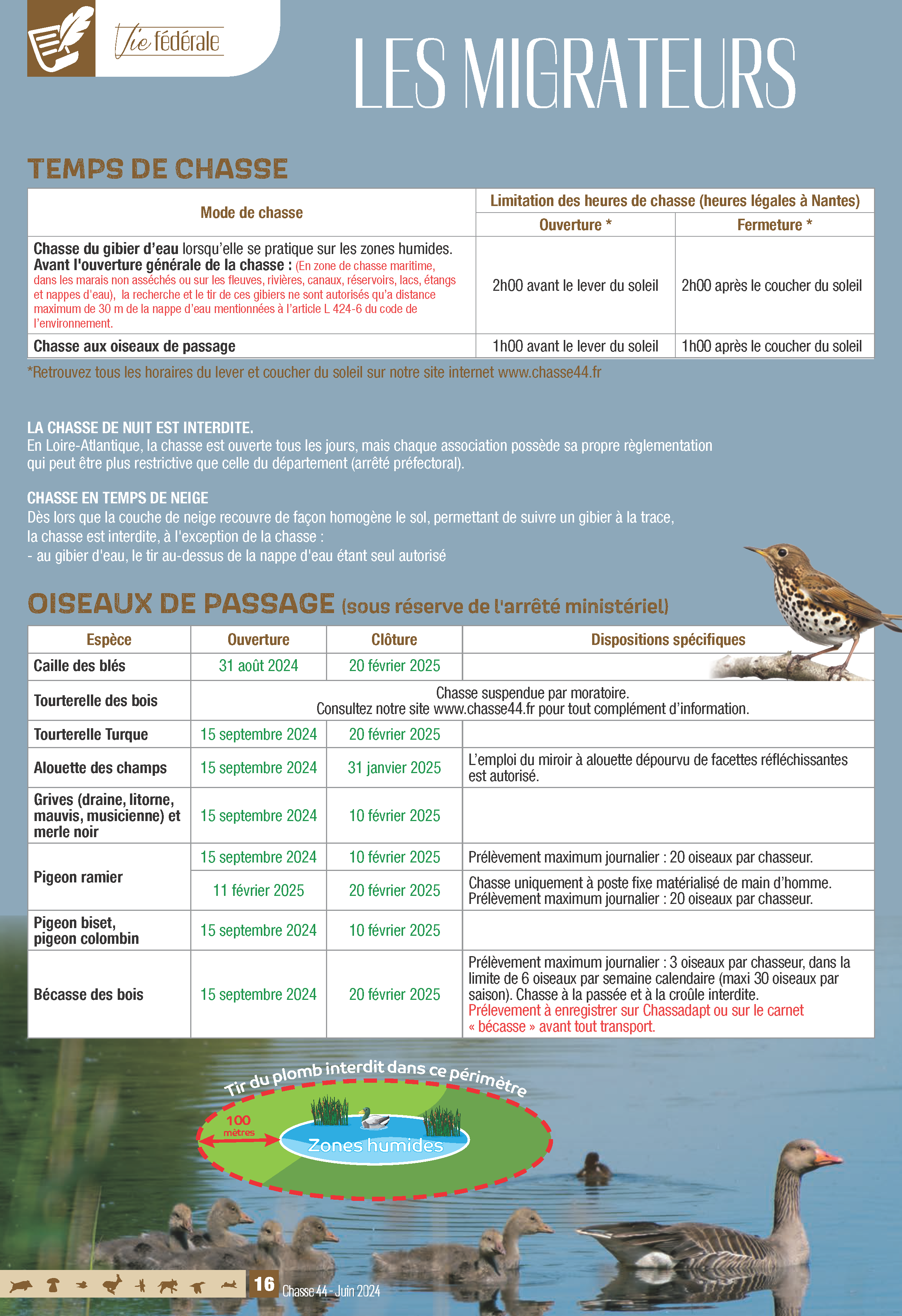 pages 16 et 17 HD web Page 1