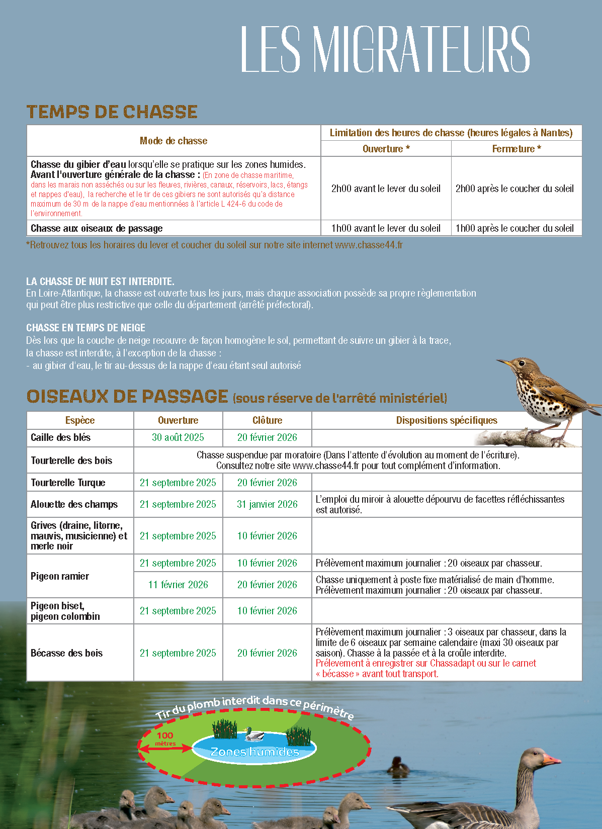 pages 16 et 17 HD web Page 1