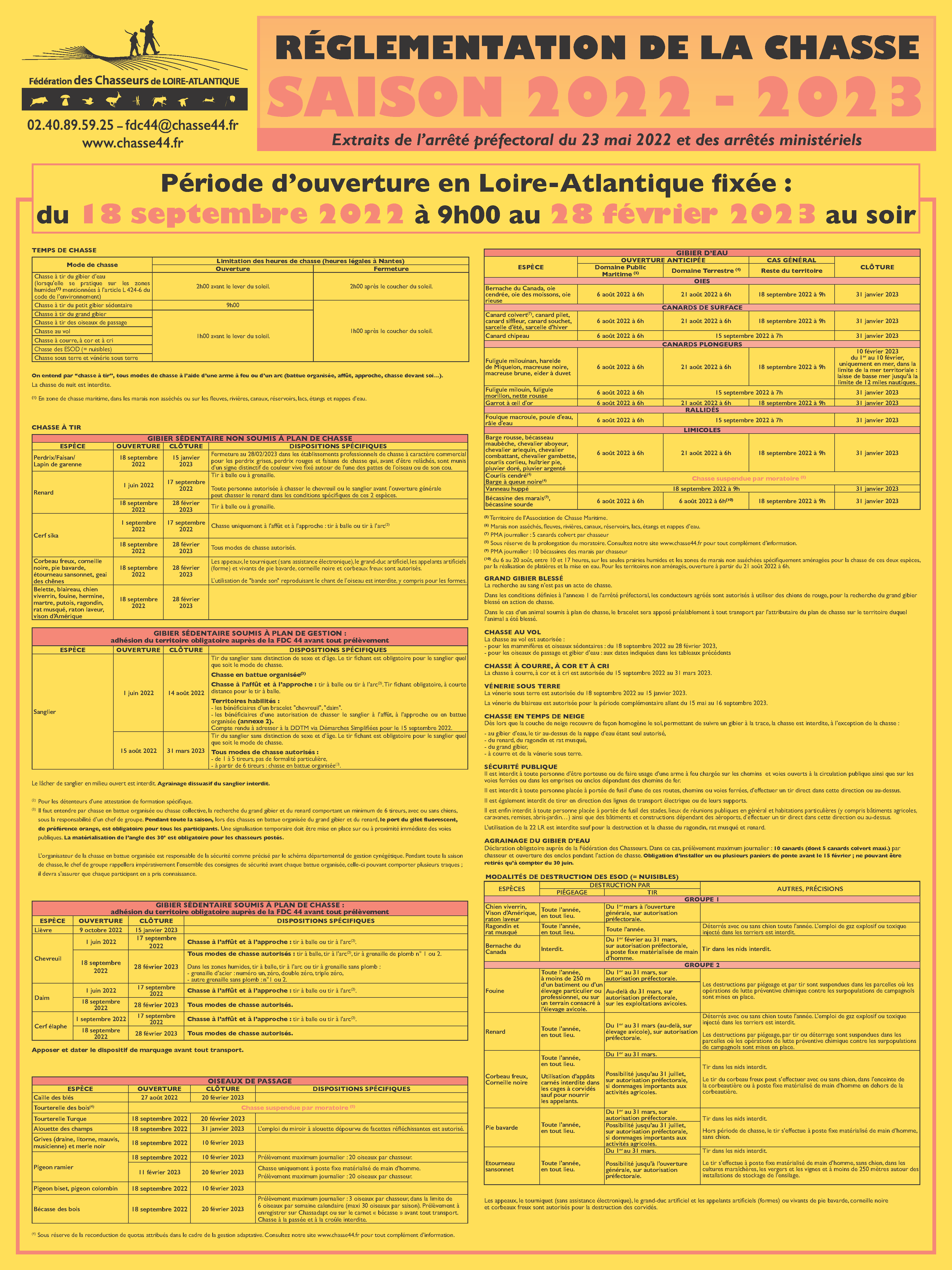 Affiche 2022 2023 web