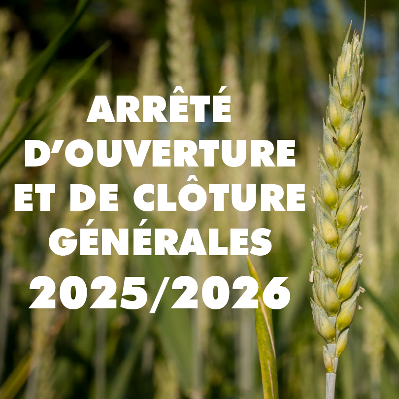 2025 2026DECLARATION DEGATS copie0.75x