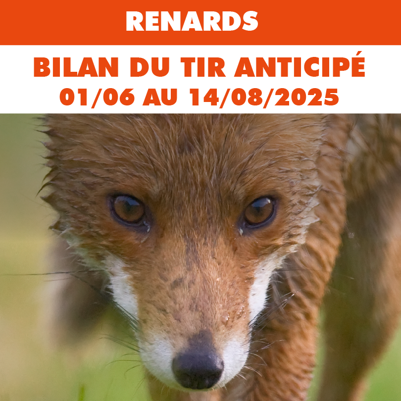 FDC44 RONDRENARD BILAN075x