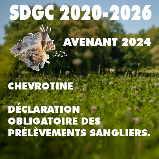 SDGC AVENANT 3