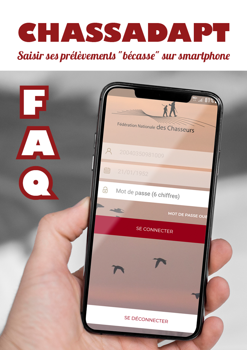 SMartphone chassadapt web