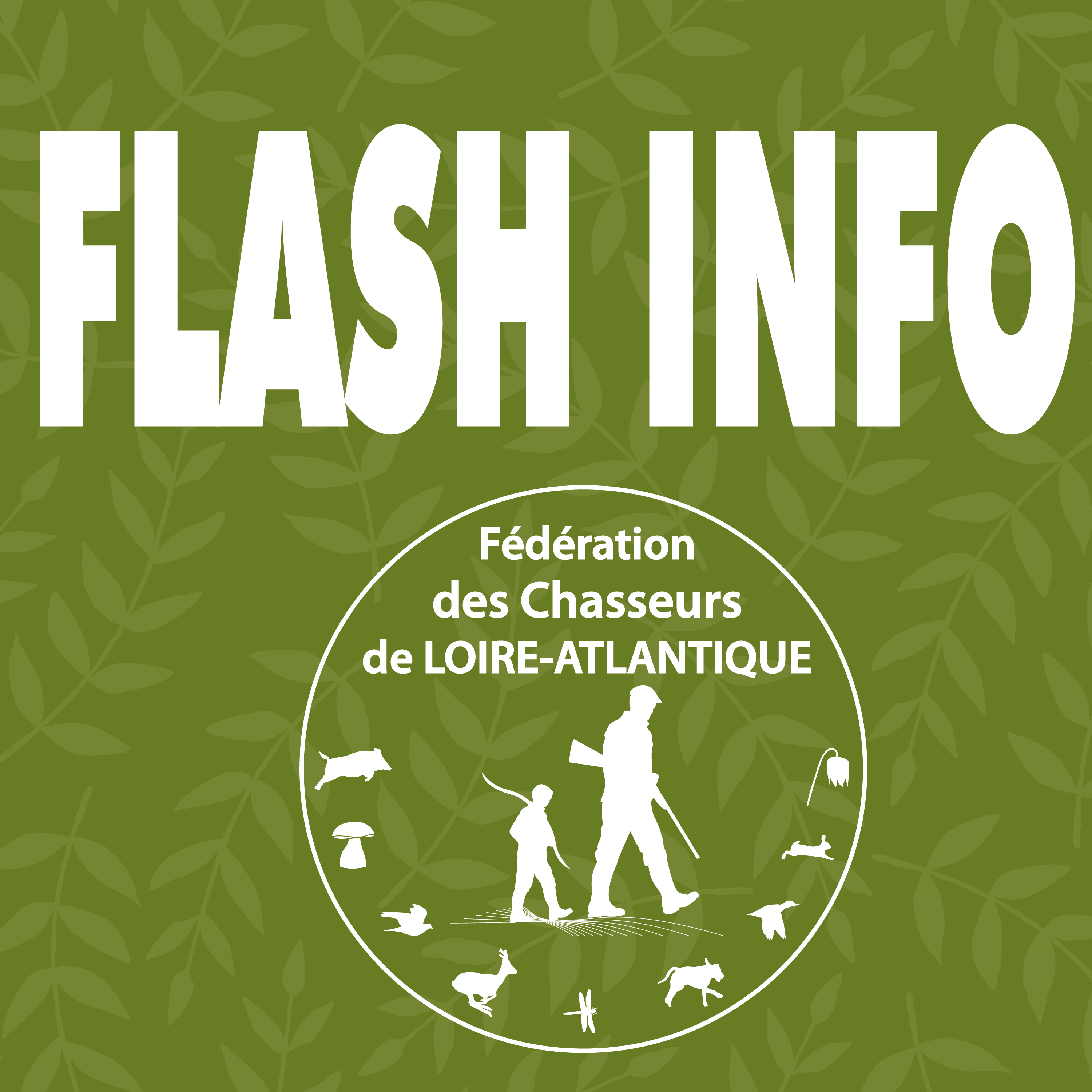 FIPlan de travail 63x