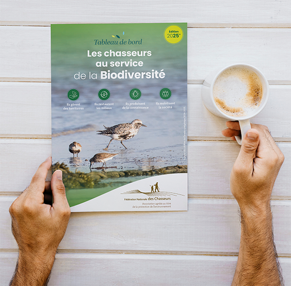 livre lire 600