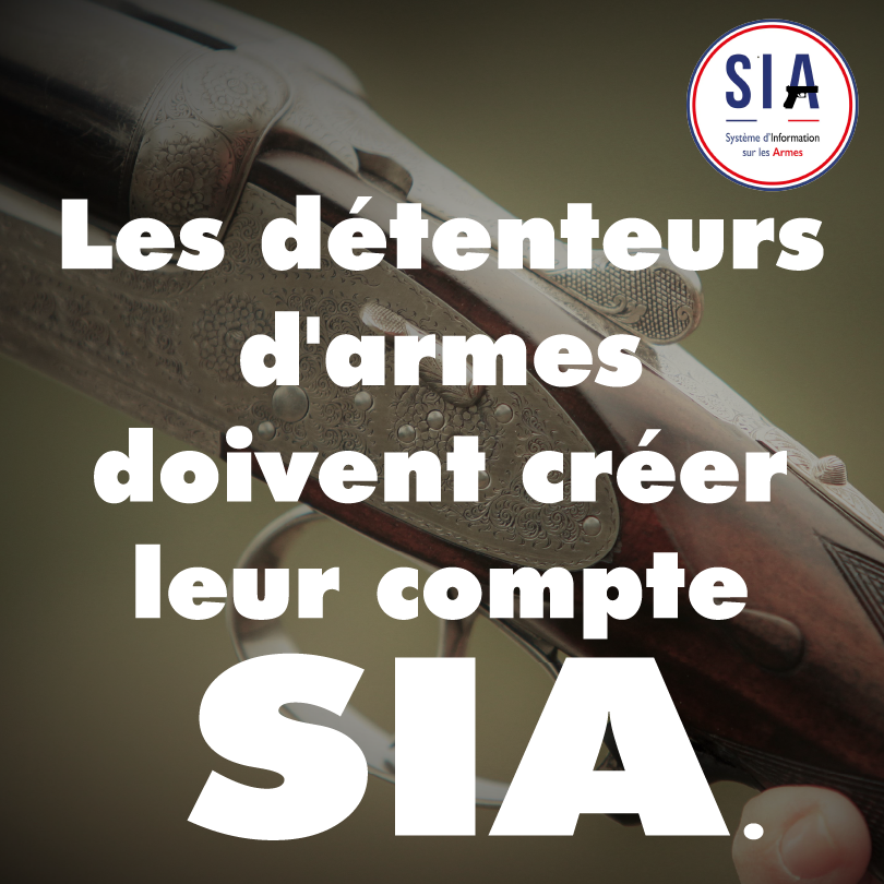 Système d'Information sur les Armes