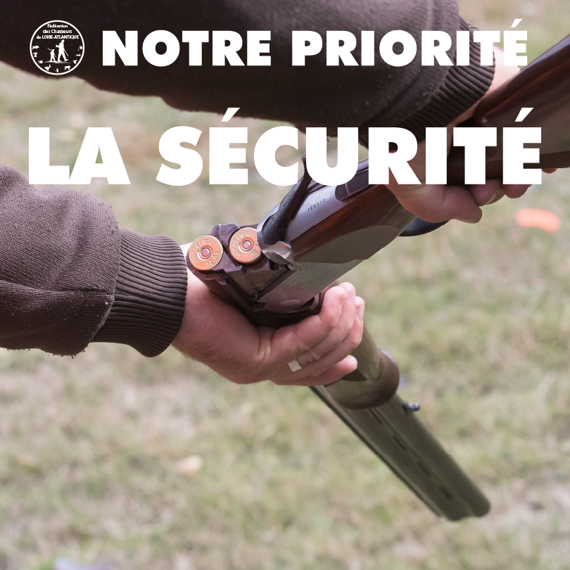 securiteDECLARATION DEGATS copie0.5