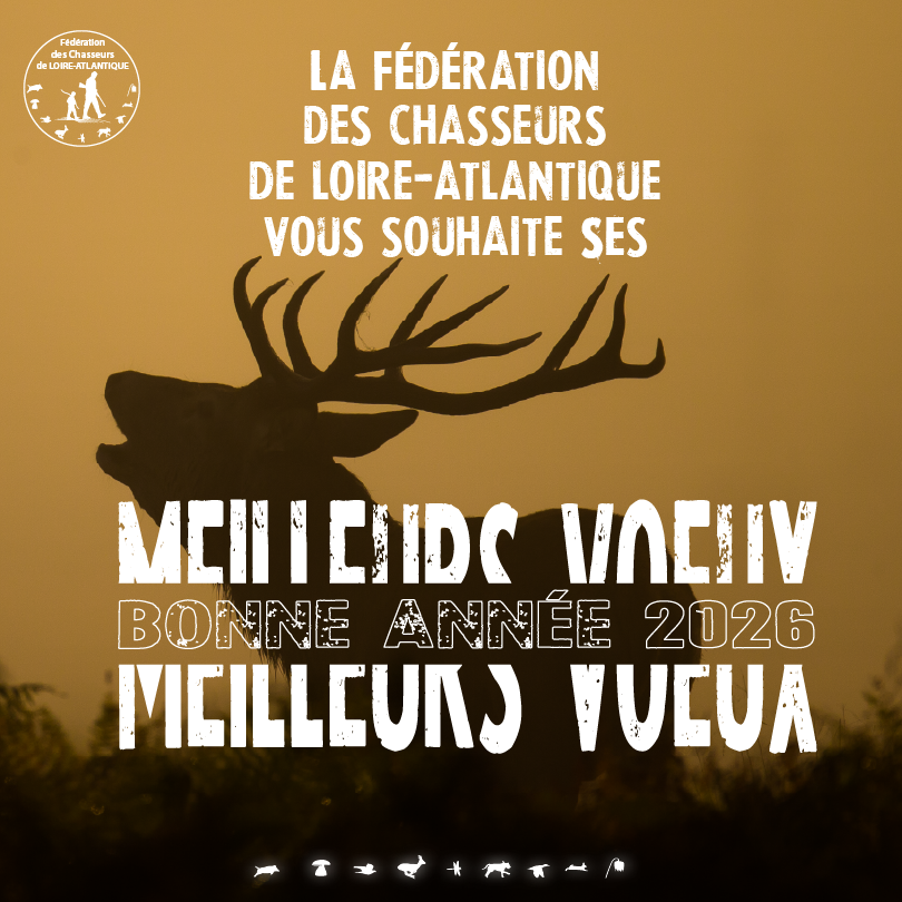 Voeux 2 2026Plan de travail 1 copie 40.75x