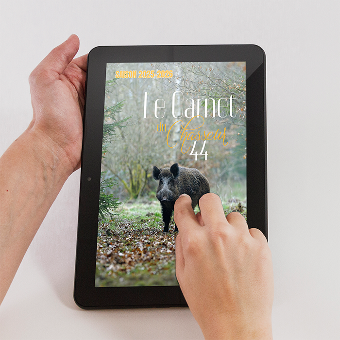 TABLETTE CARNET 2025 WEB