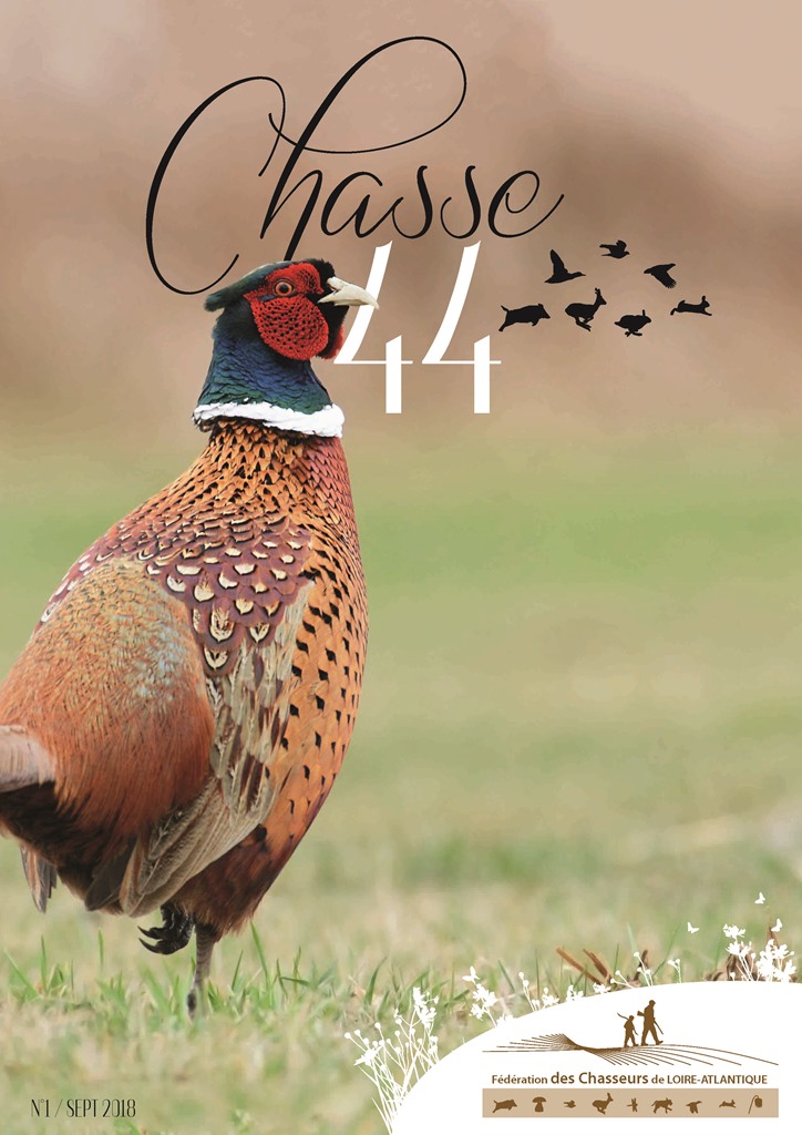 CHASSE44 1 page 1 web