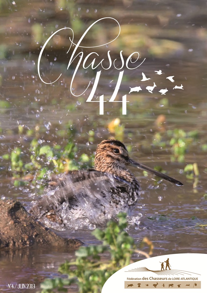 Chasse44 4 web