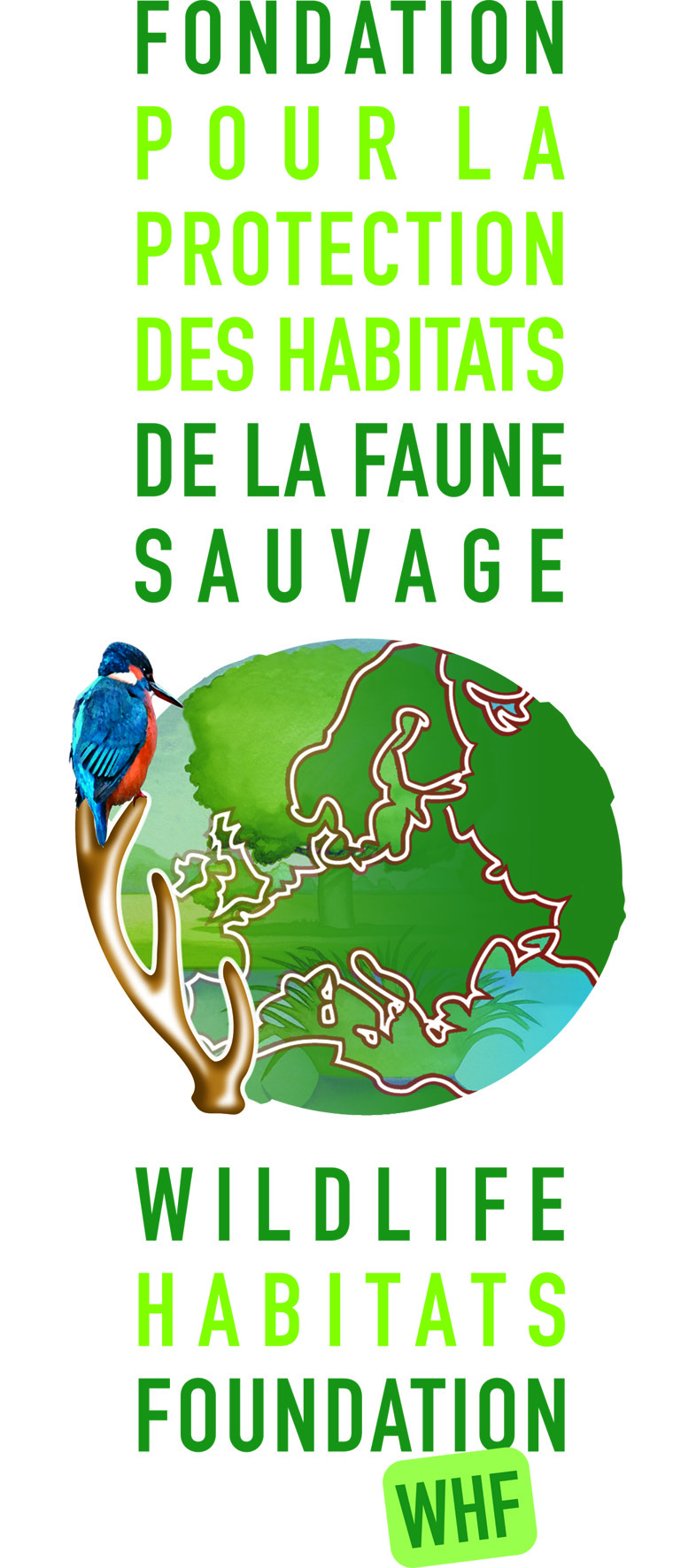 logo fondation